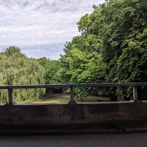IMG_20190705_072629.jpg